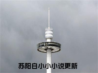 全网热搜小说（苏阳白小小）的小说完整版免费阅读 主角是苏阳白小小无弹窗免费阅读