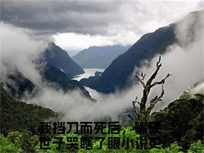 我挡刀而死后，嘴硬世子哭瞎了眼（宋晚意江长逸）最新章节在线阅读-宋晚意江长逸小说我挡刀而死后，嘴硬世子哭瞎了眼在哪里可以看