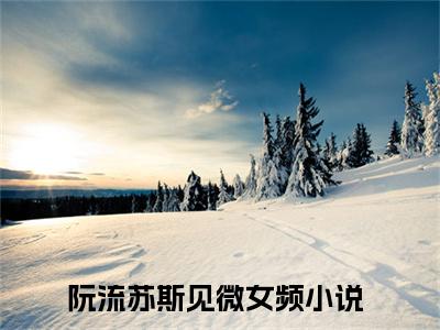 阮流苏斯见微全文免费阅读无弹窗大结局，阮流苏斯见微完整版在线阅读