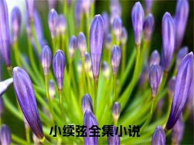 小续弦（玉君商亭羡）最火免费小说最新更新-小续弦（玉君商亭羡）全文已更新最新章节