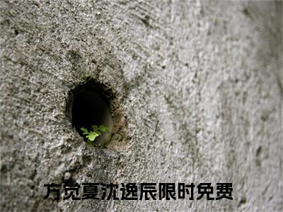 方觉夏沈逸辰（方觉夏沈逸辰)全文免费阅读无弹窗大结局_方觉夏沈逸辰全文免费阅读_笔趣阁（方觉夏沈逸辰）