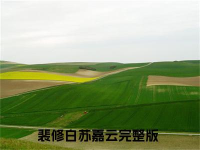 裴修白苏嘉云（裴修白苏嘉云）全文免费阅读-裴修白苏嘉云最新章节列表_笔趣阁