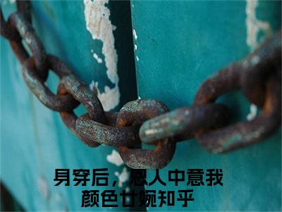 身穿后，恩人中意我颜色廿婉新书热荐免费小说全文完整版-小说精选片段阅读