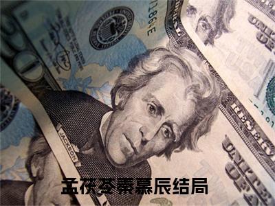 孟茯苓秦慕辰最新免费小说全文在线阅读无弹窗大结局_（孟茯苓秦慕辰全文在线阅读无弹窗）