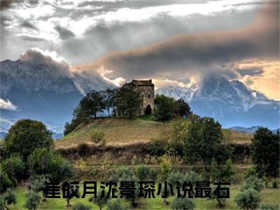 崔皎月沈景琛小说（崔皎月沈景琛）全文免费阅读无弹窗大结局_崔皎月沈景琛小说最新章节列表_笔趣阁（崔皎月沈景琛）