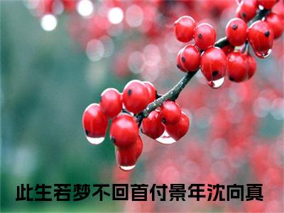 付景年沈向真（此生若梦不回首）全文免费阅读无弹窗大结局_（此生若梦不回首免费阅读全文大结局）最新章节列表
