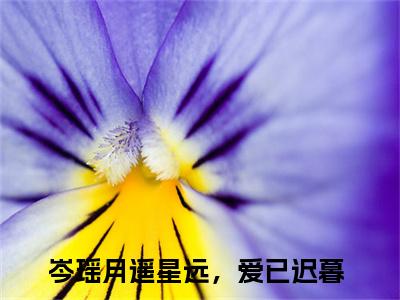 月遥星远，爱已迟暮在线阅读（岑瑶小说）全文免费阅读无弹窗大结局_月遥星远，爱已迟暮免费最新章节列表