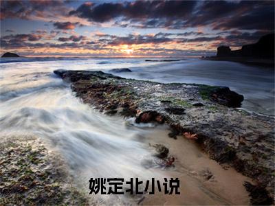 姚定北小说最新试读_流年不弃桑榆老是（姚定北免费阅读最新章节列表）_笔趣阁（流年不弃桑榆老）