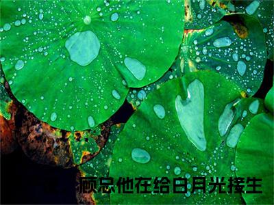 流产夜，顾总他在给白月光接生（宁沐顾斯忱）全文免费阅读无弹窗大结局_流产夜，顾总他在给白月光接生免费最新章节列表_笔趣阁