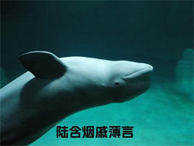 陆含烟戚薄言无广告小说全文免费阅读无弹窗大结局-陆含烟戚薄言在线阅读最新章节列表_笔趣阁