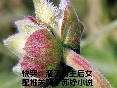 快穿：渣了男主后女配被关哭了苏妤阅读无弹窗大结局_（快穿：渣了男主后女配被关哭了苏妤阅读无弹窗）最新章节列表_笔趣阁（快穿：渣了男主后女配被关哭了苏妤）