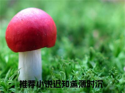 注定不能到白首小说全文（迟知鸢薄时沉）在线阅读-注定不能到白首全文免费阅读无弹窗大结局