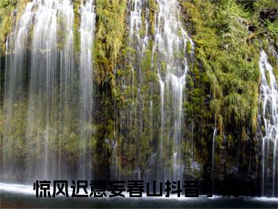 惊风迟意妄春山精彩小说-云渺鹤寻全章节免费阅读