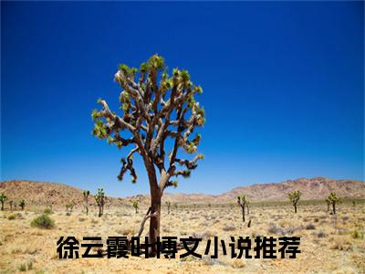 徐云霞叶博文最新章节免费阅读-徐云霞叶博文小说排行榜top1小说全文阅读