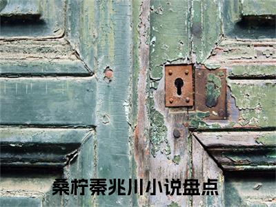 好书推荐小说桑柠秦兆川-桑柠秦兆川全文免费阅读大结局