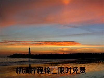 柳清柠程锦旻（柳清柠程锦旻）经典小说全文免费阅读无弹窗_（柳清柠程锦旻）小说全文免费阅读最新章节_笔趣阁