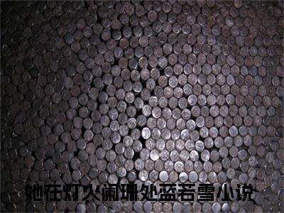 她在灯火阑珊处蓝若雪的小说全文免费阅读无弹窗，主角名字是：她在灯火阑珊处蓝若雪的小说在线免费阅读大结局