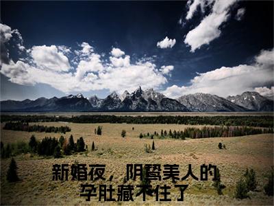 新婚夜，阴鸷美人的孕肚藏不住了（炎魁唐芷酥）全文免费完结版阅读_（炎魁唐芷酥）新婚夜，阴鸷美人的孕肚藏不住了最新章节列表笔趣阁