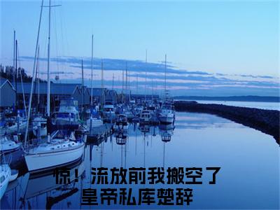 惊！流放前我搬空了皇帝私库楚辞（惊！流放前我搬空了皇帝私库楚辞）免费阅读无弹窗大结局-惊！流放前我搬空了皇帝私库楚辞（最新全章节大结局）全文阅读