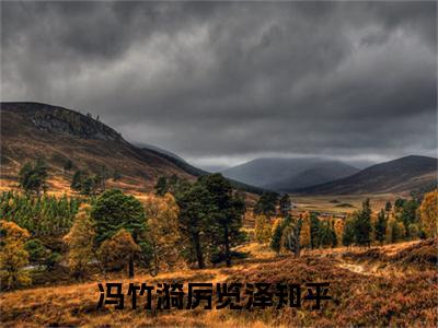 冯竹漪厉览泽小说全文免费阅读无弹窗-冯竹漪厉览泽小说在线免费阅读大结局
