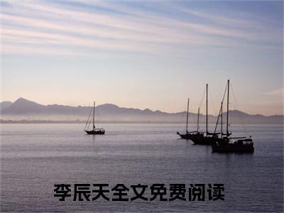 综武天影（李辰天）小说全文免费_综武天影（李辰天）最新章节目录笔趣阁