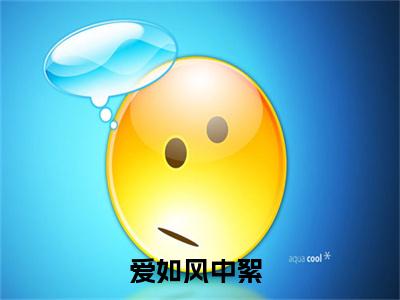 爱如风中絮（沈清衍林可儿）笔趣阁免费小说_爱如风中絮笔趣阁全文阅读