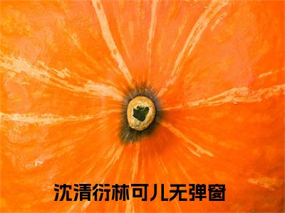 抖音高赞小说沈清衍林可儿在线阅读爱如风中絮新上现代言情小说推荐