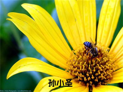 直播算命：我替天庭在人间惩恶扬善！全文免费阅读_孙小圣（直播算命：我替天庭在人间惩恶扬善！）小说在线阅读最新章节列表笔趣阁