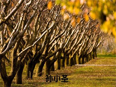 直播算命：我替天庭在人间惩恶扬善！（孙小圣）全文免费阅读无弹窗大结局_孙小圣最新章节列表_笔趣阁