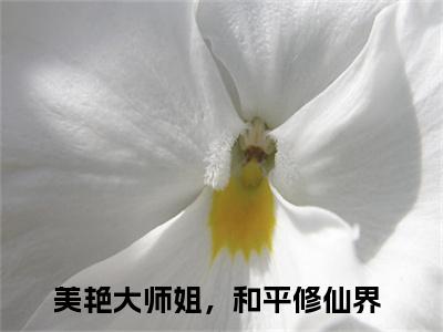 美艳大师姐，和平修仙界是魏文心的小说（美艳大师姐，和平修仙界）免费读_小说免费魏文心读-笔趣阁