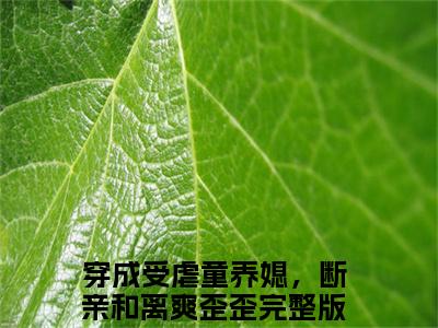 江雨桐萧逸风（穿成受虐童养媳，断亲和离爽歪歪最新全章节大结局）全文阅读