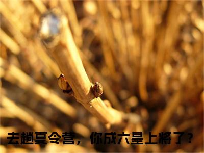 去趟夏令营，你成六星上将了？小说免费阅读无弹窗，小说名字是：张岩的小说在线阅读无删减