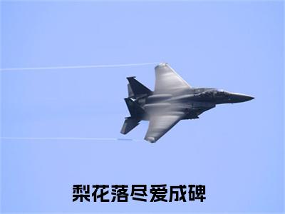 姜意欢宋闻璟全文（梨花落尽爱成碑）全文免费阅读无弹窗大结局_梨花落尽爱成碑最新章节列表_笔趣阁（姜意欢宋闻璟）