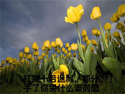 打赏十倍返利，都分手了你哭什么（姜时愿）最新章节阅读-热点小说榜单推荐姜时愿