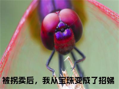 何招娣全文免费阅读无弹窗大结局_（被拐卖后，我从宝珠变成了招娣）何招娣完整版全文在线赏析