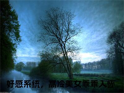 《沈晓天》主角是好感系统，高冷美女乖乖入怀全文免费阅读已完结