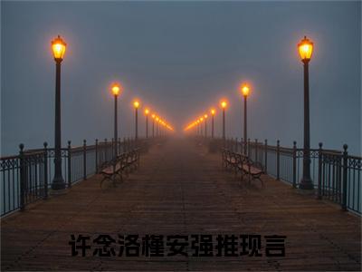 逃荒种田：农门长姐有空间全文免费阅读无弹窗大结局_（许念洛槿安免费阅读）逃荒种田：农门长姐有空间最新章节在线阅读_笔趣阁