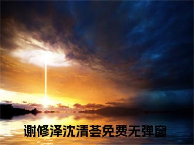 谢修泽沈清荟（谢修泽沈清荟）全文免费阅读无弹窗大结局_谢修泽沈清荟完本小说最新章节阅读