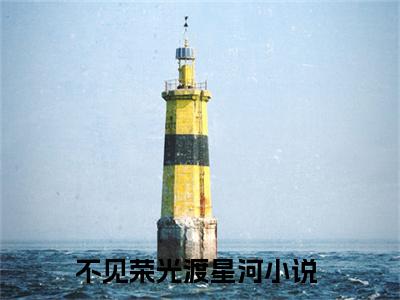 苏静怡顾烨城小说免费阅读不见荣光渡星河免费阅读无弹窗小说