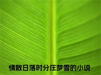情散日落时分庄梦雪全文免费阅读无弹窗(小说全文免费阅读)情散日落时分庄梦雪最新章节列表_笔趣阁