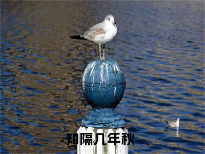 知隔几年秋小说（苏晴柔徐闻知）全文免费阅读无弹窗_（苏晴柔徐闻知）知隔几年秋最新章节列表