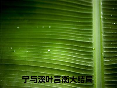 宁与溪叶言衡全网首发完整小说主角宁与溪叶言衡在线阅读