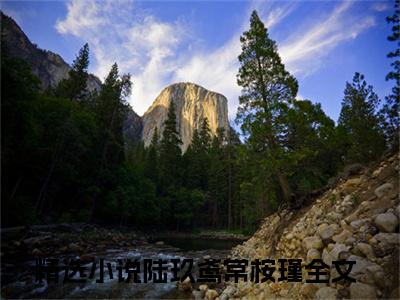 热门小说推荐陆玖鸢常桉瑾-陆玖鸢常桉瑾全文免费大结局