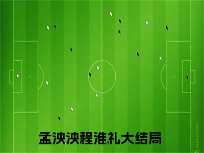 孟泱泱程淮礼全文免费阅读大结局-山中有雾林中有鹿完整版无弹窗