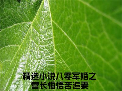 主角是八零军婚之营长悔悟苦追妻的小说叫什么名字霍启延乔书芩精彩结局阅读