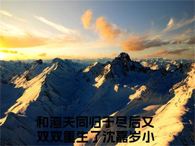 和渣夫同归于尽后又双双重生了沈嘉岁全本资源（和渣夫同归于尽后又双双重生了沈嘉岁）全文免费阅读无弹窗大结局_和渣夫同归于尽后又双双重生了沈嘉岁最新章节列表（和渣夫同归于尽后又双双重生了沈嘉岁）