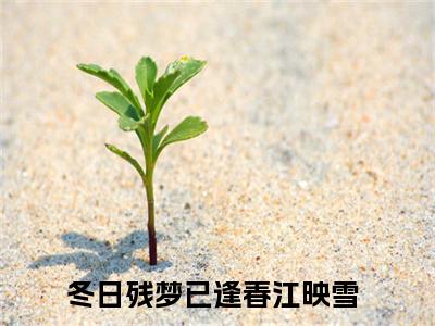 （冬日残梦已逢春江映雪）全文免费阅读无弹窗大结局_冬日残梦已逢春江映雪免费最新章节列表_笔趣阁