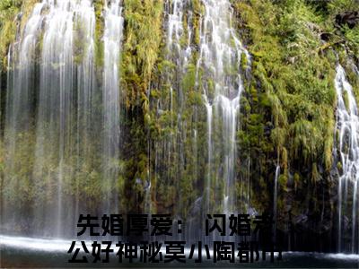完整版小说（先婚厚爱： 闪婚老公好神秘莫小陶）最新在线阅读-先婚厚爱： 闪婚老公好神秘莫小陶小说（先婚厚爱： 闪婚老公好神秘莫小陶）免费阅读全文