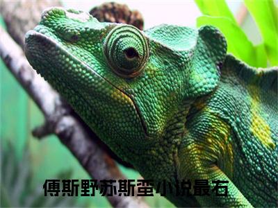 傅斯野苏斯蛮小说大结局完整版阅读，傅斯野苏斯蛮小说全文在线阅读