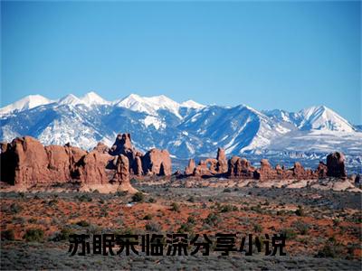 苏眠宋临深满分热推小说-无归处的爱苏眠宋临深小说全本已完结